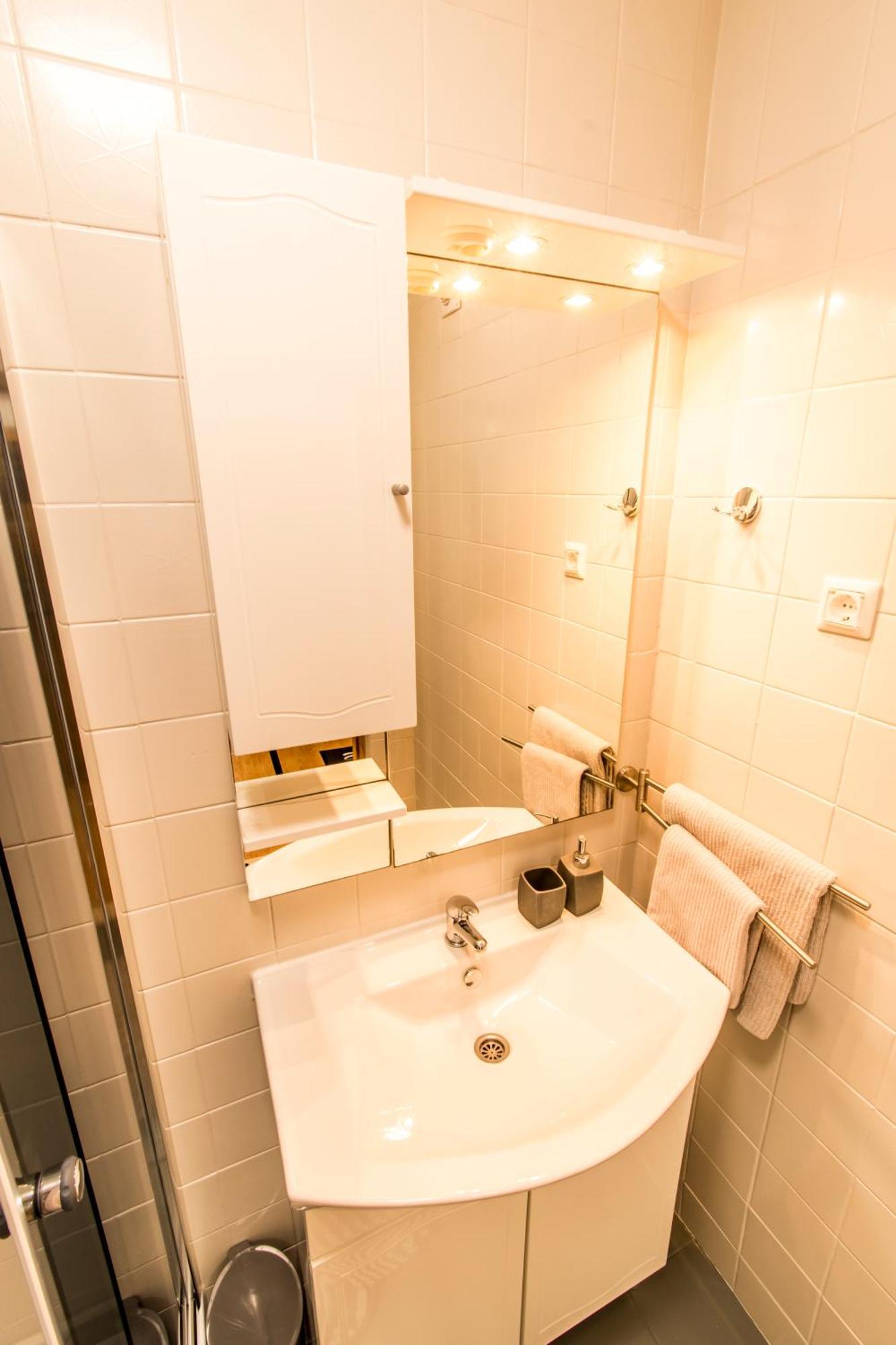 Apartment Curic *